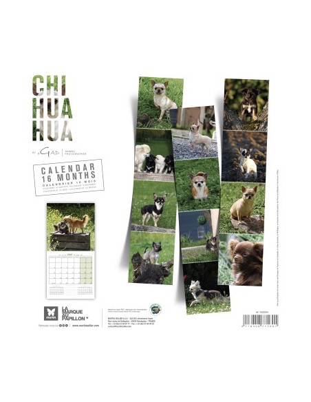 Calendrier chien 2027 - Chihuahua - Martin