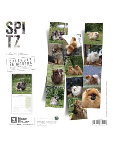 Calendrier chien 2027 - Spitz - Martin