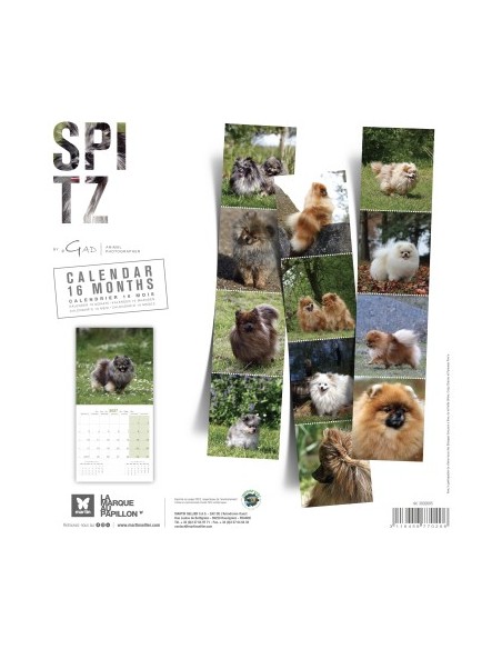Calendrier chien 2027 - Spitz - Martin