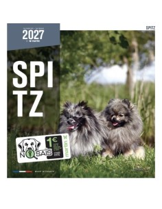 Calendrier chien 2027 - Spitz - Martin