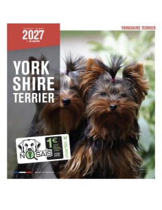 Calendrier chien 2027 - Yorkshire - Martin
