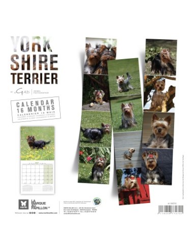 Calendrier chien 2027 - Yorkshire - Martin