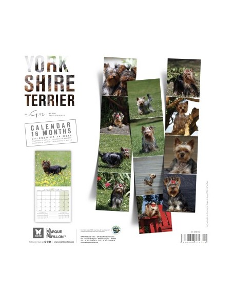 Calendrier chien 2027 - Yorkshire - Martin