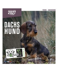 Calendrier chien 2027 - Teckel - Martin