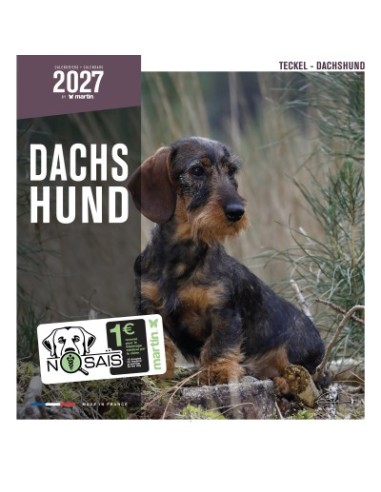 Calendrier chien 2027 - Teckel - Martin