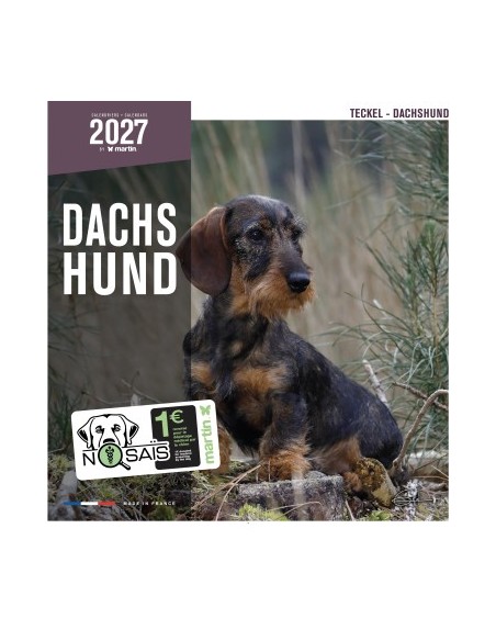 Calendrier chien 2027 - Teckel - Martin