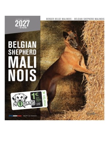 Calendrier chien 2027 - Berger Belge Malinois - Martin