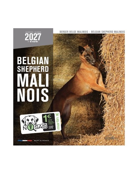 Calendrier chien 2027 - Berger Belge Malinois - Martin