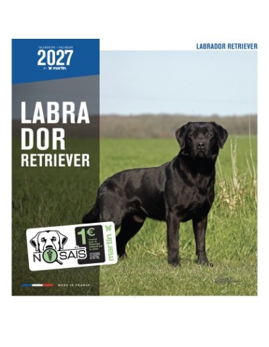 Calendrier chien 2027 - Labrador Retriever - Martin