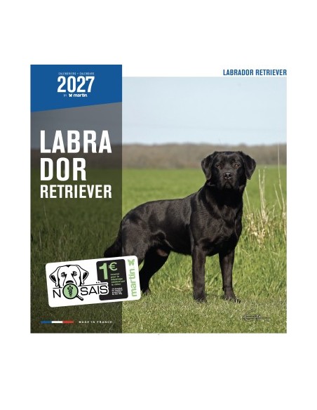 Calendrier chien 2027 - Labrador Retriever - Martin
