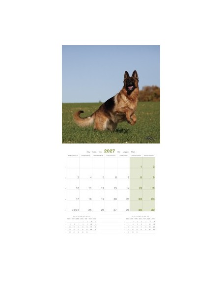 Calendrier chien 2027 - Berger allemand - Martin