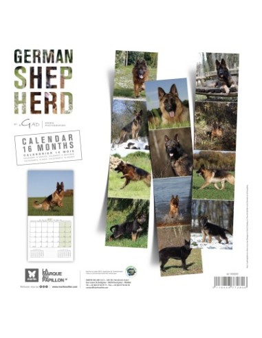 Calendrier chien 2027 - Berger allemand - Martin