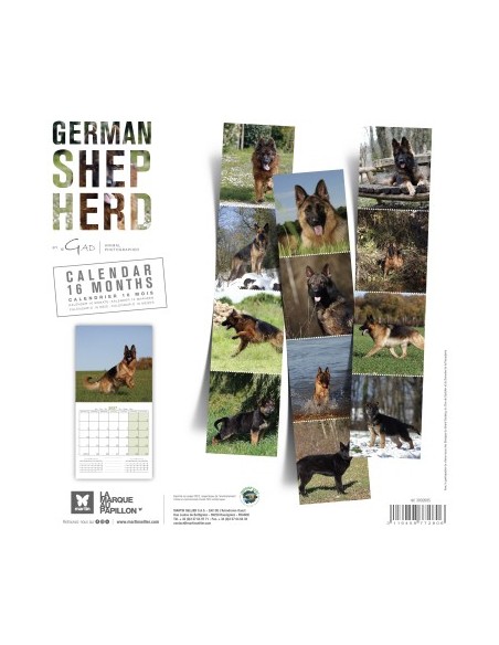 Calendrier chien 2027 - Berger allemand - Martin