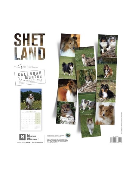 Calendrier chien 2027 - Shetland - Martin