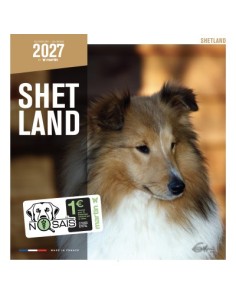 Calendrier chien 2027 - Shetland - Martin