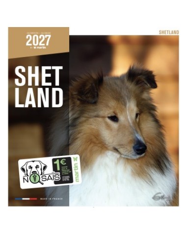 Calendrier chien 2027 - Shetland - Martin