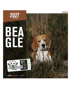Calendrier chien 2027 - Beagle - Martin