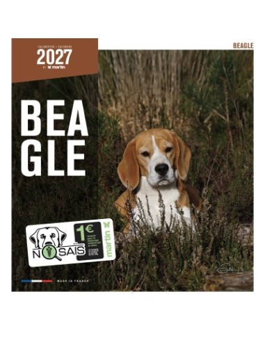 Calendrier chien 2027 - Beagle - Martin