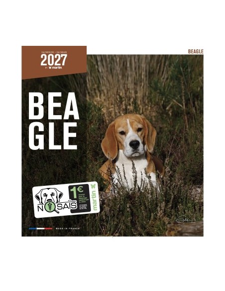 Calendrier chien 2027 - Beagle - Martin