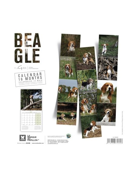 Calendrier chien 2027 - Beagle - Martin