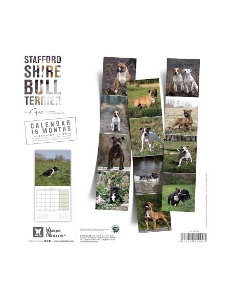 Calendrier chien 2027 - Stafford Shire Bull Terrier - Martin