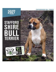 Calendrier chien 2027 - Stafford Shire Bull Terrier - Martin