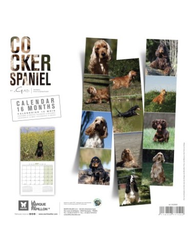 Calendrier chien 2027 - Cocker Anglais- Martin