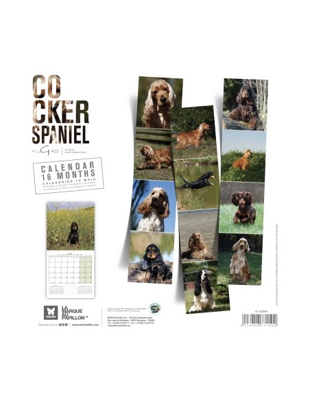 Calendrier chien 2027 - Cocker Anglais- Martin