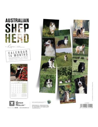 Calendrier chien 2027 - Berger Australien - Martin