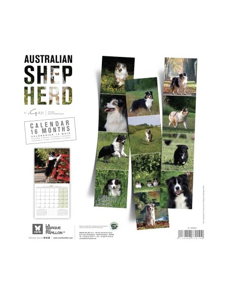 Calendrier chien 2027 - Berger Australien - Martin