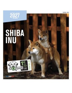 Calendrier chien 2027 - Shiba - Martin 2