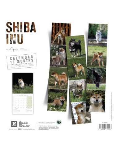 Calendrier chien 2027 - Shiba - Martin