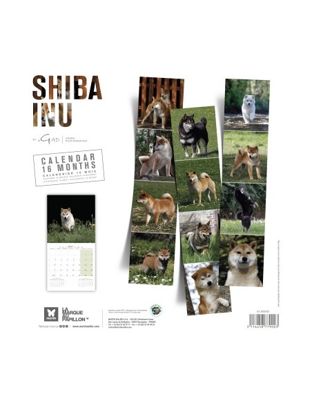 Calendrier chien 2027 - Shiba - Martin