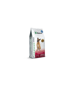 TEL MAITRE confiance medium