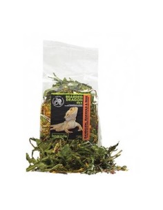 Komodo - Bearded Dragon Mix - 80g - mélange pour Dragon Barbu 2