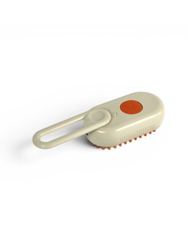 Brosse de toilettage en silicone à vapeur