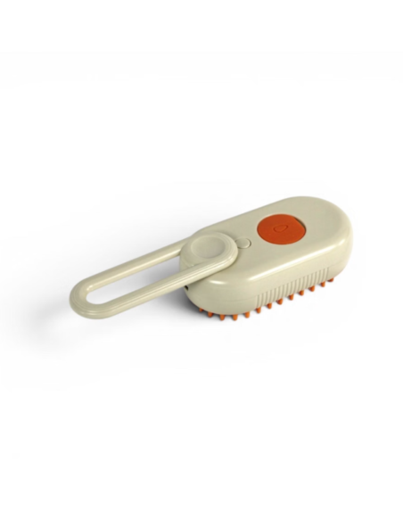 Brosse de toilettage en silicone à vapeur