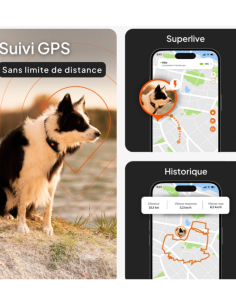 Traceur GPS Weenect sans collier 2