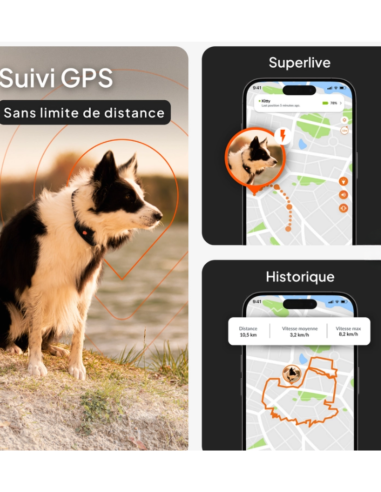 Traceur GPS sans collier pour chien- Weenect XT