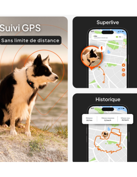 Traceur GPS sans collier pour chien- Weenect XT