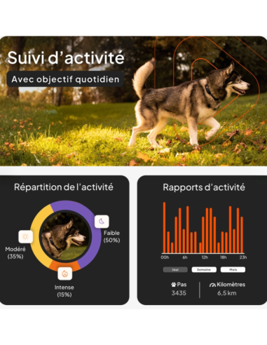 Traceur GPS sans collier pour chien- Weenect XT