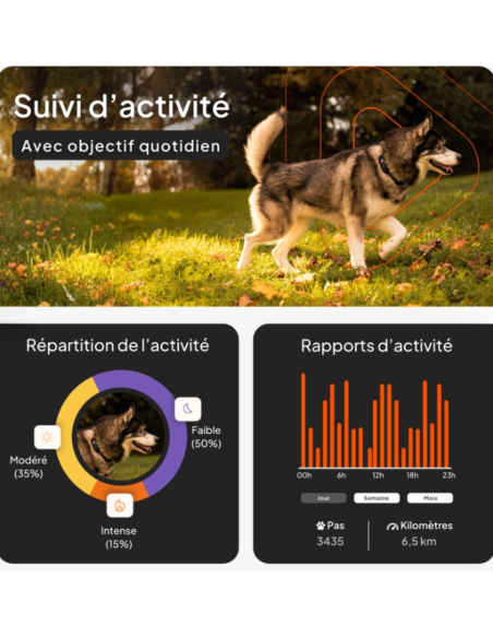 Traceur GPS sans collier pour chien- Weenect XT