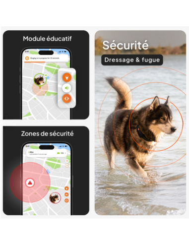 Traceur GPS sans collier pour chien- Weenect XT