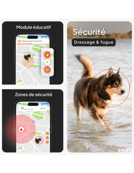 Traceur GPS sans collier pour chien- Weenect XT