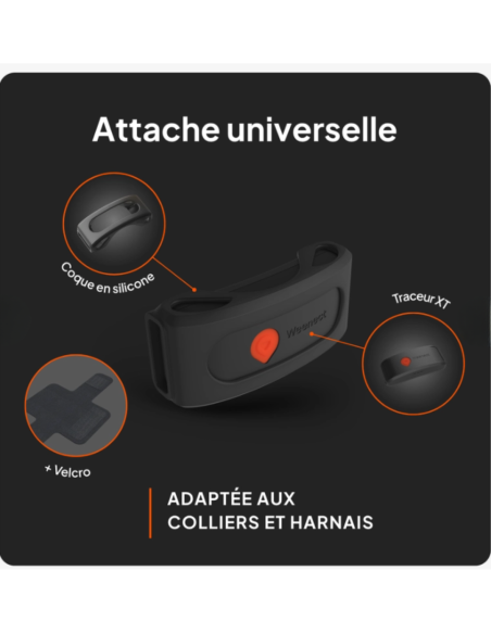 Traceur GPS sans collier pour chien- Weenect XT
