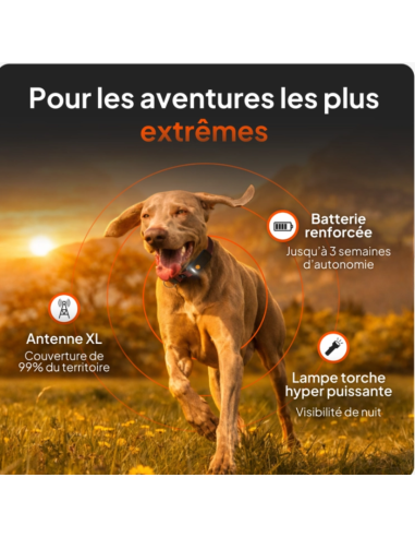 Traceur GPS sans collier pour chien- Weenect XT
