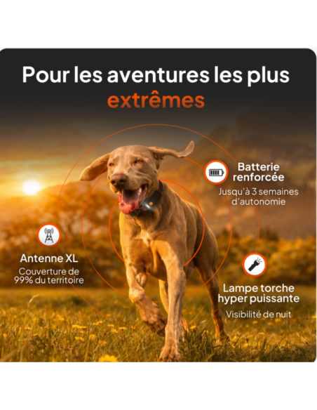 Traceur GPS sans collier pour chien- Weenect XT