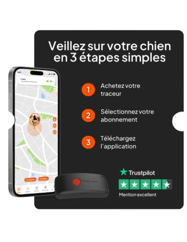 Traceur GPS sans collier pour chien- Weenect XT