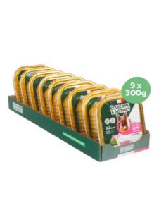 Pâtées riches en saumon & aux épinards CHIEN ADULTE 2