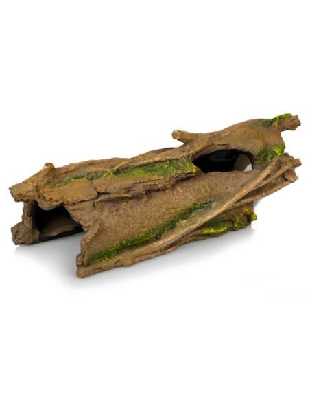 Souche 829 – 29,5 × 12,5 × 10 cm